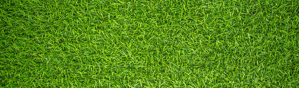 inicio nosotros la asociación peruana del césped directiva asociados